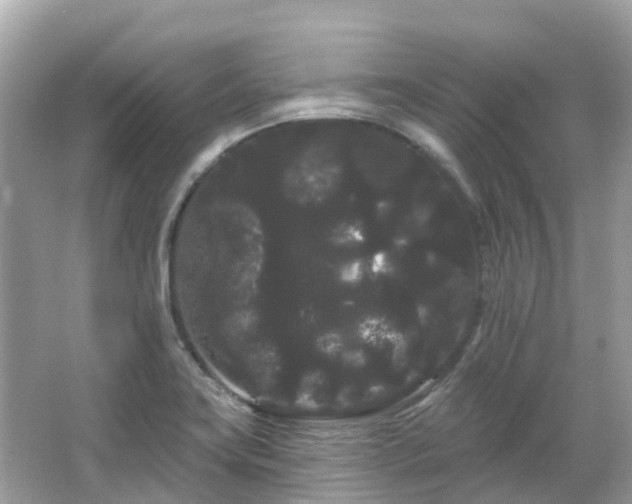 X0000066091419200603131152