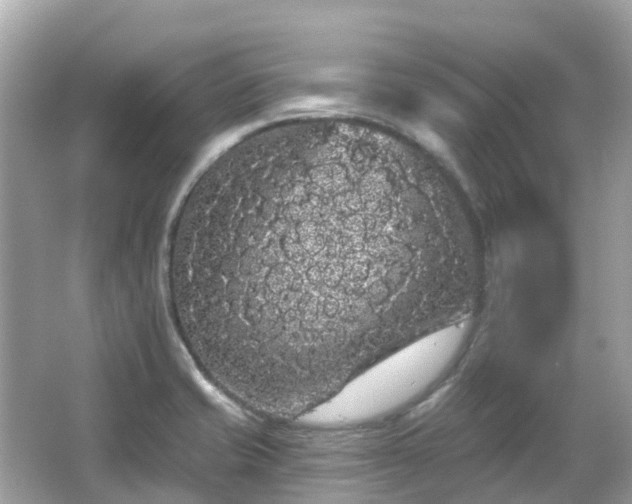 X0000066091421200603131152