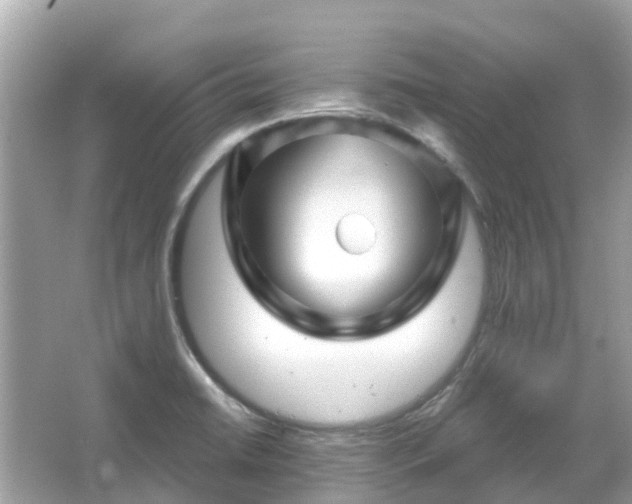 X0000066091422200603131152