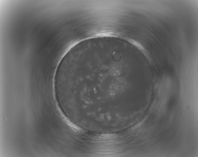 X0000066091423200603131152