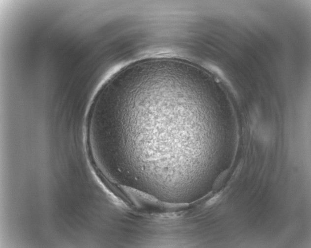 X0000066091424200603131152