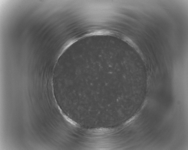 X0000066091425200603131152