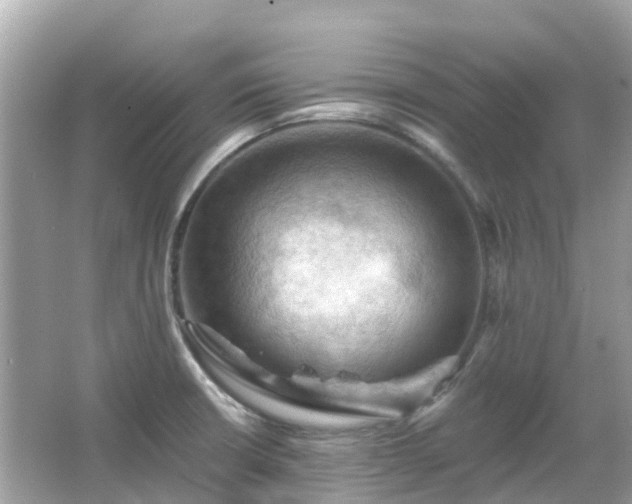 X0000066091426200603131152