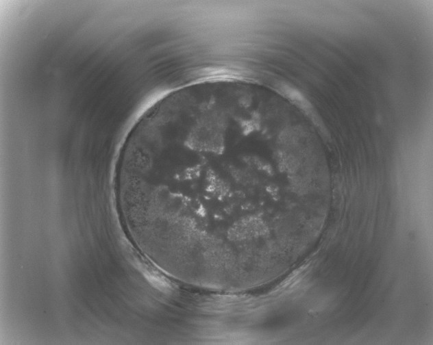 X0000066091427200603131152