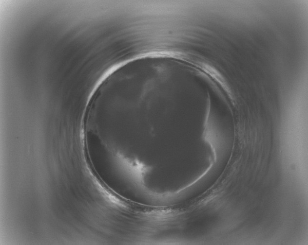 X0000066091428200603131152