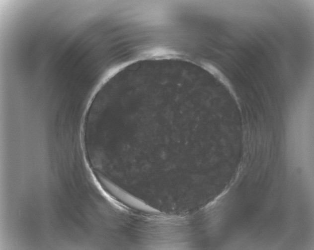 X0000066091429200603131152