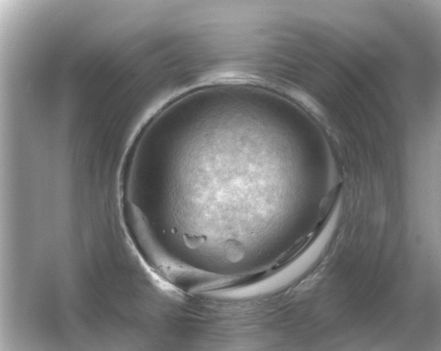 X0000066091430200603131152