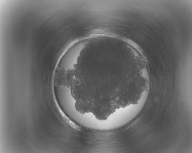 X0000066091431200603131152