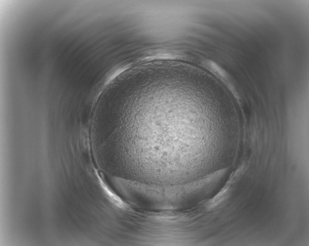 X0000066091433200603131152