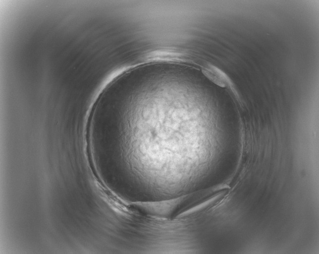 X0000066091435200603131152