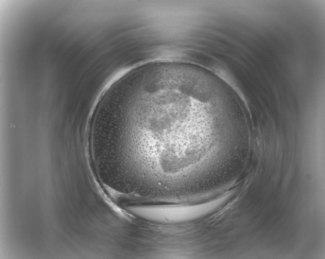 X0000066091437200603131152