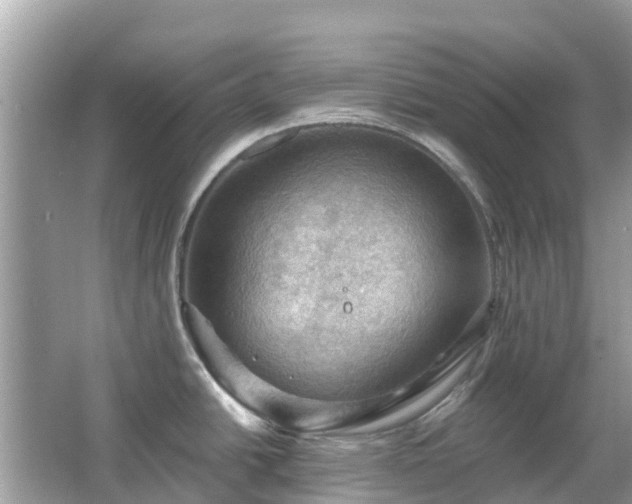 X0000066091438200603131152