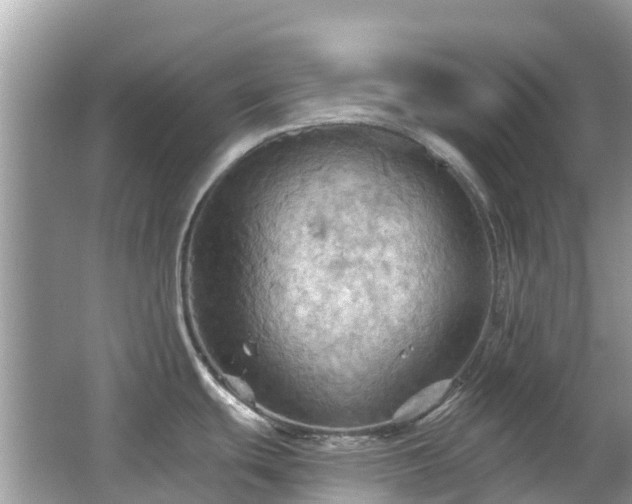 X0000066091439200603131152