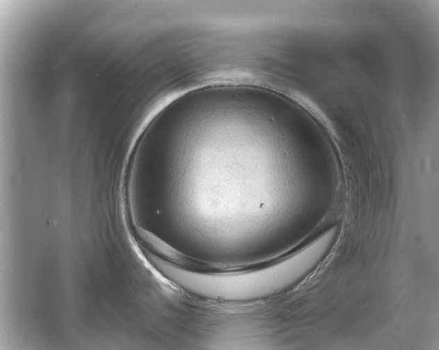 X0000066091440200603131152