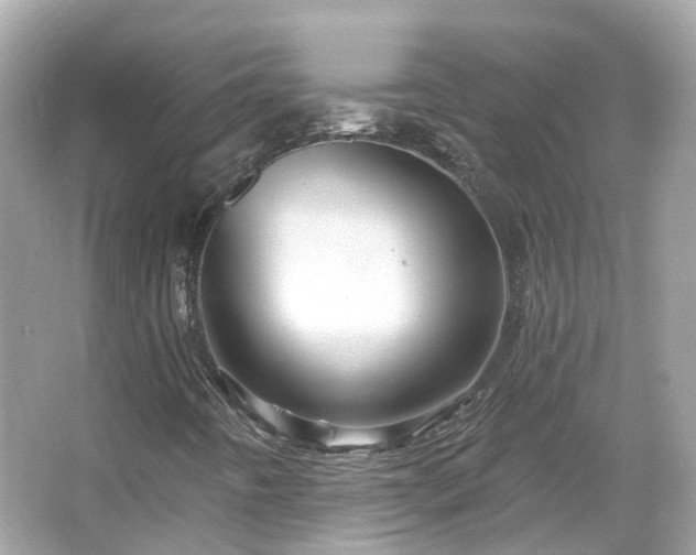 X0000066091442200603131151