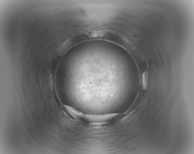 X0000066091443200603131151