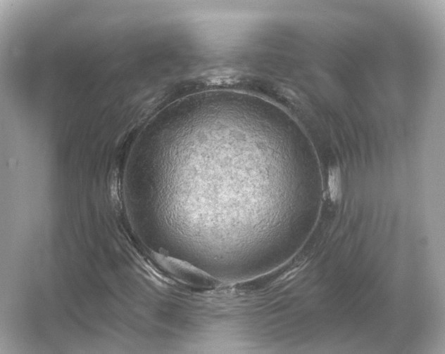 X0000066091444200603131151