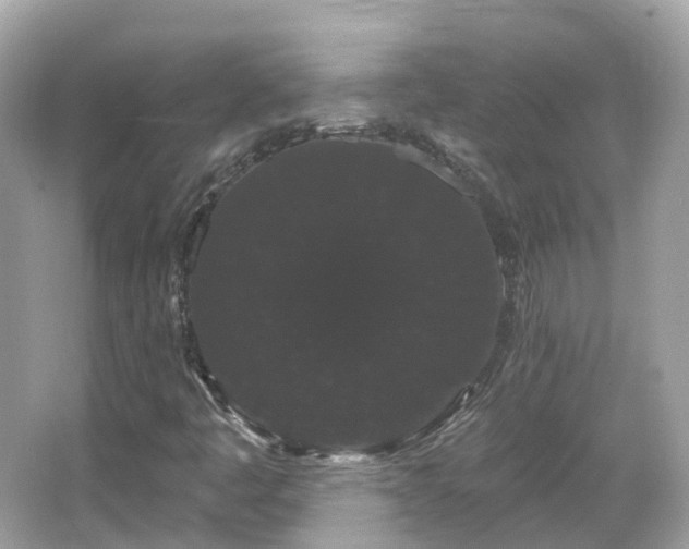 X0000066091445200603131151