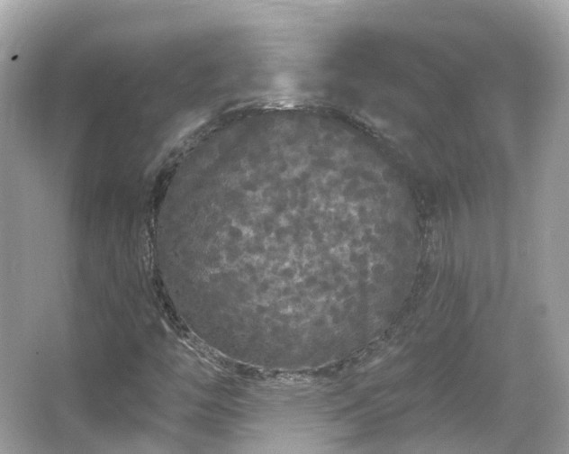 X0000066091446200603131151