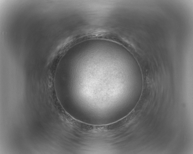 X0000066091447200603131151