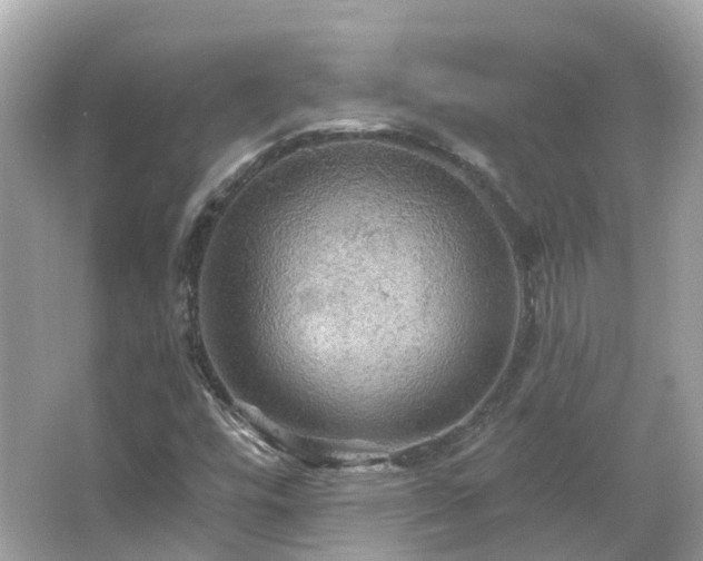 X0000066091448200603131151