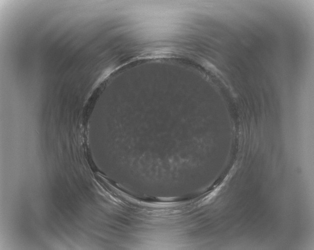 X0000066091449200603131151