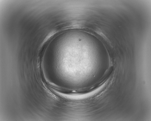 X0000066091450200603131151