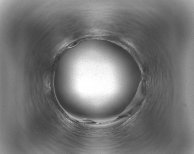 X0000066091451200603131151