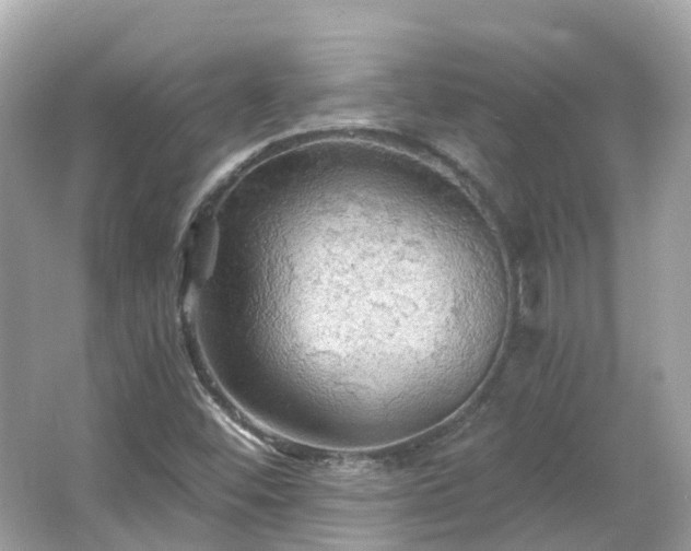 X0000066091452200603131151