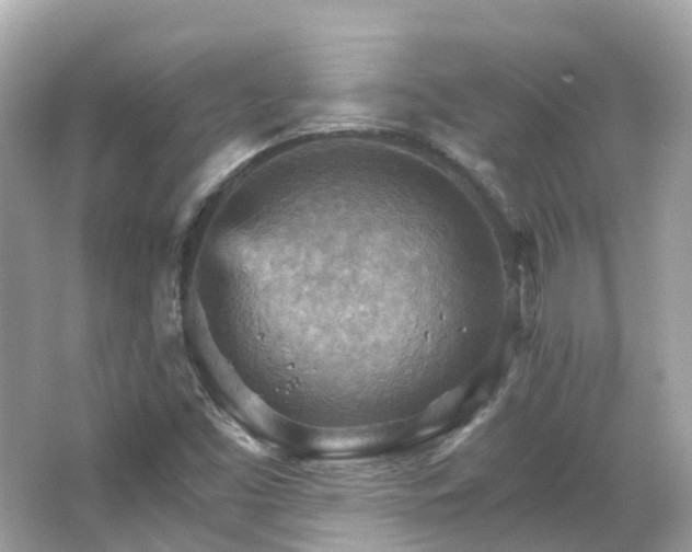 X0000066091453200603131151