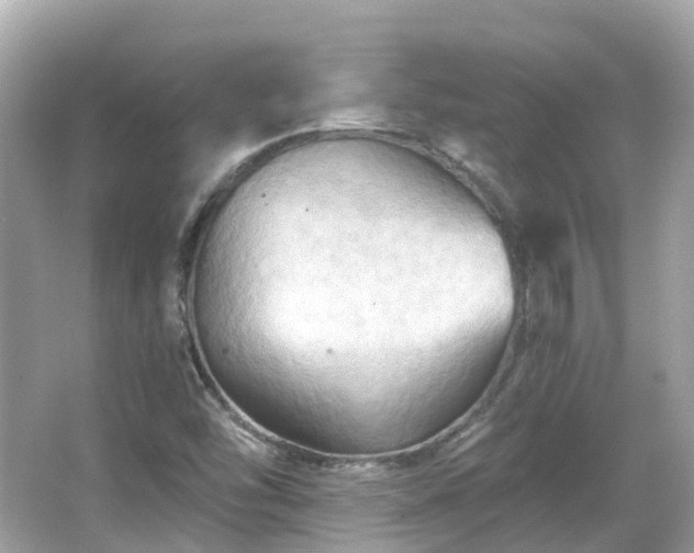 X0000066091454200603131151