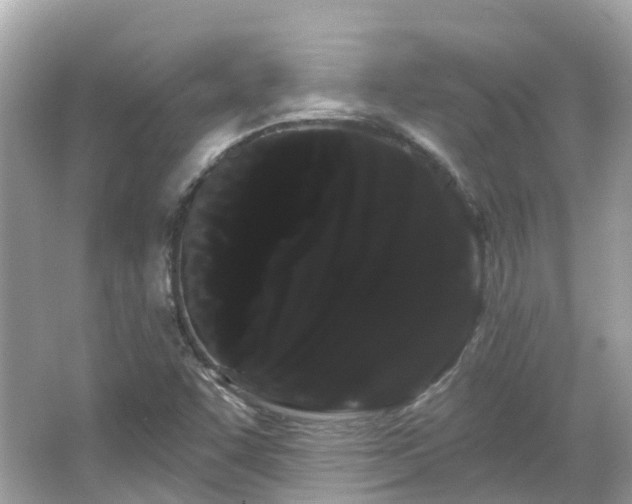 X0000066091455200603131151