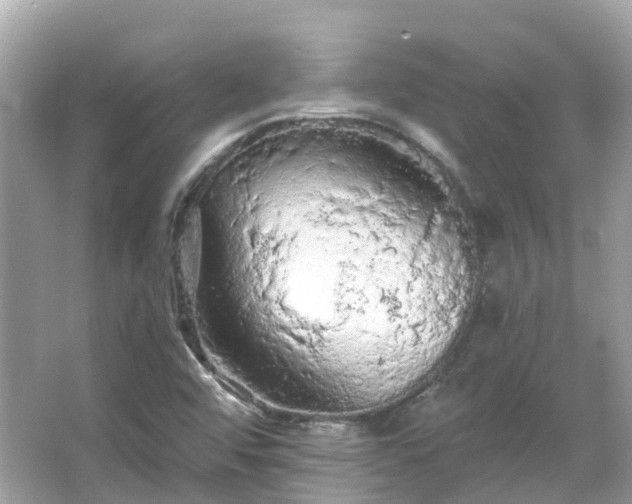 X0000066091456200603131151