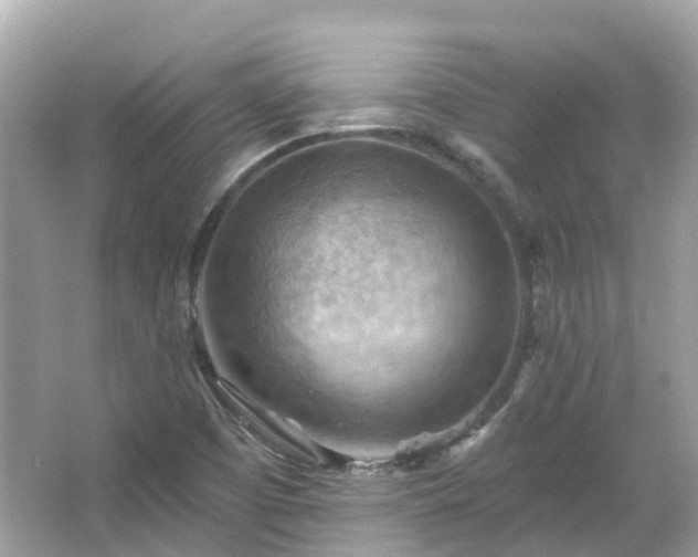 X0000066091457200603131151