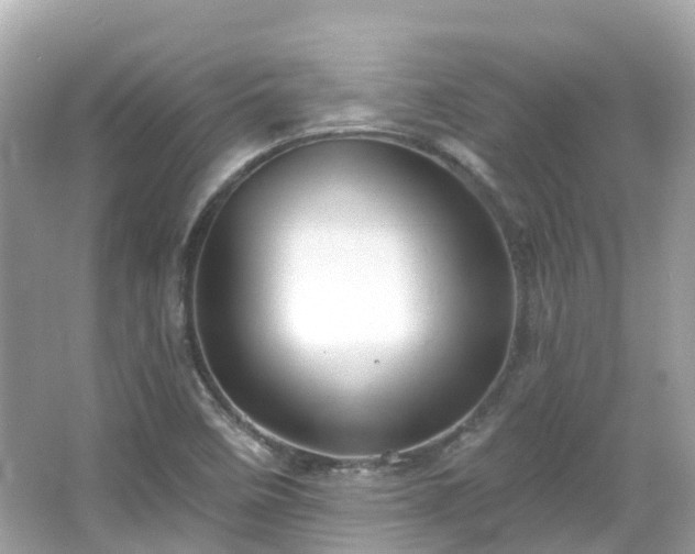 X0000066091458200603131151