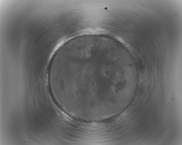 X0000066091459200603131151