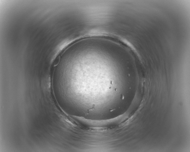 X0000066091461200603131151