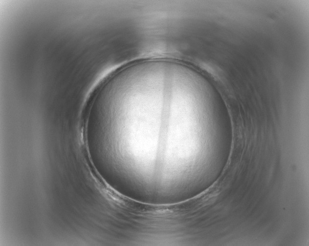 X0000066091462200603131151