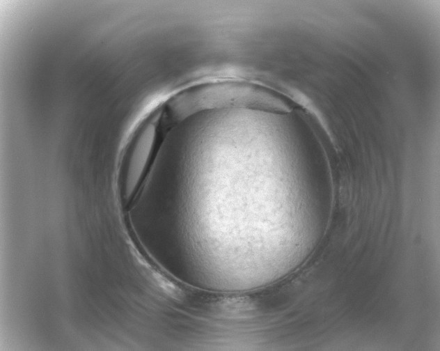 X0000066091464200603131151