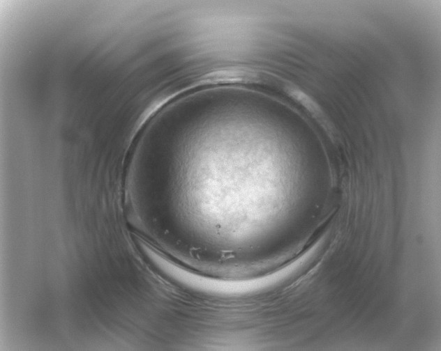 X0000066091465200603131151