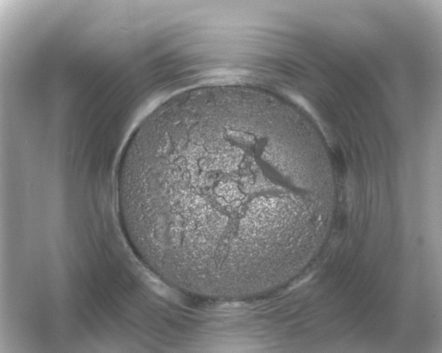 X0000066091467200603131151