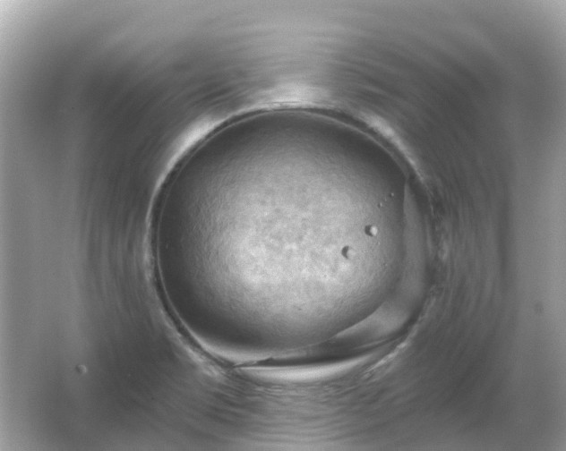 X0000066091469200603131151