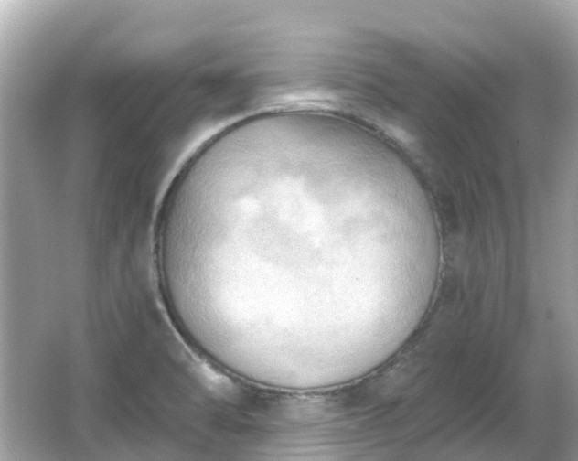 X0000066091470200603131151