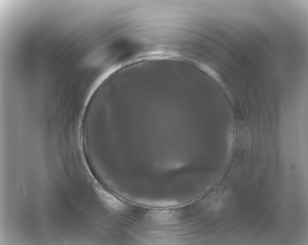 X0000066091474200603131151