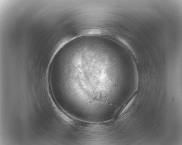 X0000066091475200603131151