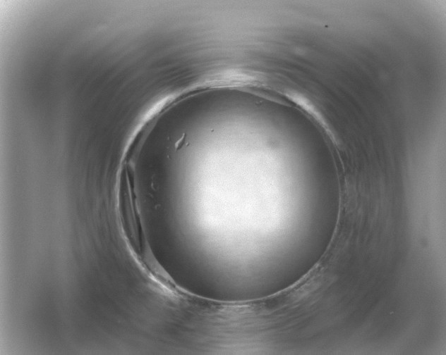 X0000066091477200603131151