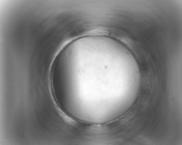 X0000066091478200603131151