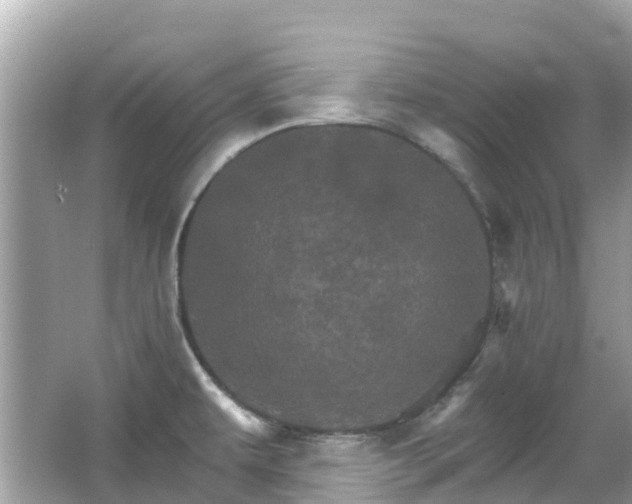 X0000066091479200603131151