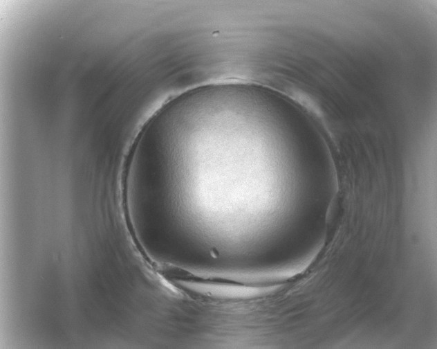 X0000066091480200603131151