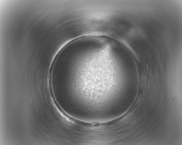 X0000066091484200603131151